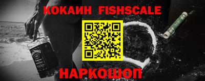 гидропоника Владимир