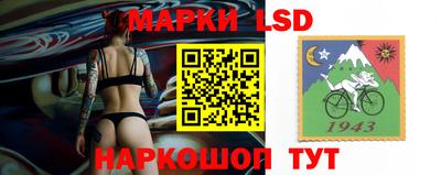 гидропоника Владимир