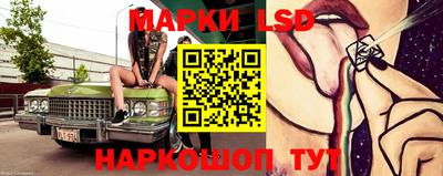 гидропоника Владимир